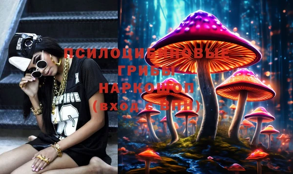 не бодяженный Осинники