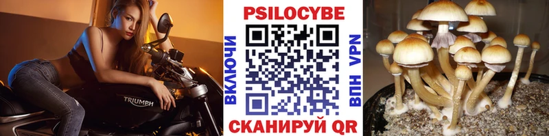 Купить где  Карасук  Псилоцибиновые грибы ЛСД 